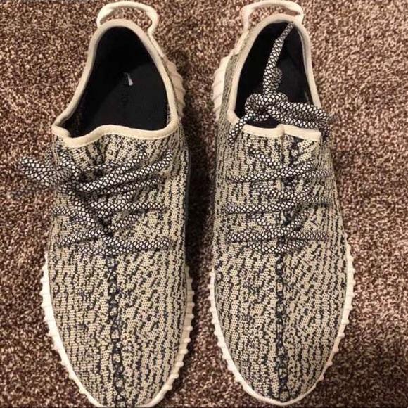yeezy boost 350 turtle dove